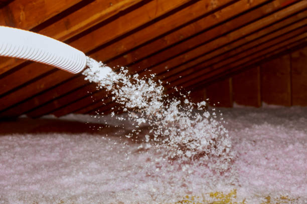 Best Residential Insulation in Fruitland Park, FL