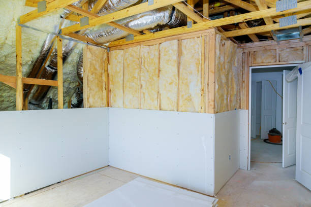 Best Eco-Friendly Insulation in Fruitland Park, FL