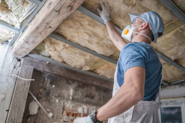 Types of Insulation We Offer in Fruitland Park, FL