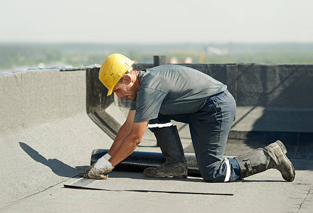Best Energy Efficiency Insulation in Fruitland Park, FL
