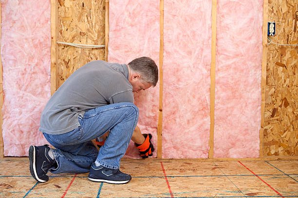 Best Eco-Friendly Insulation in Fruitland Park, FL