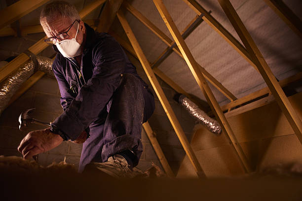 Trusted Fruitland Park, FL Insulation Contractor Experts