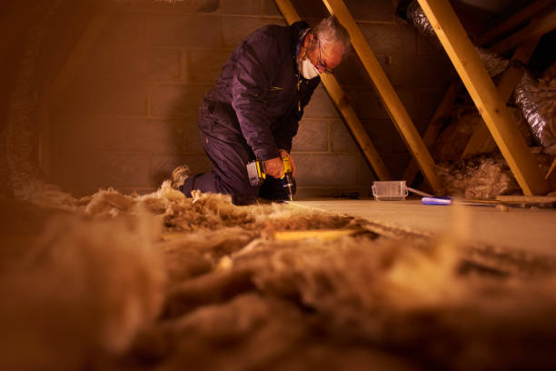 Best Cellulose Insulation in Fruitland Park, FL